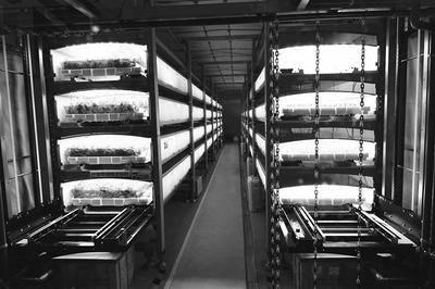 揭秘首個全自動地下植物工廠海維森生物 農業(yè)生產的范式革命